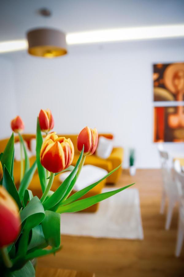 Cozy Apartment In The Downtown Győr Kültér fotó